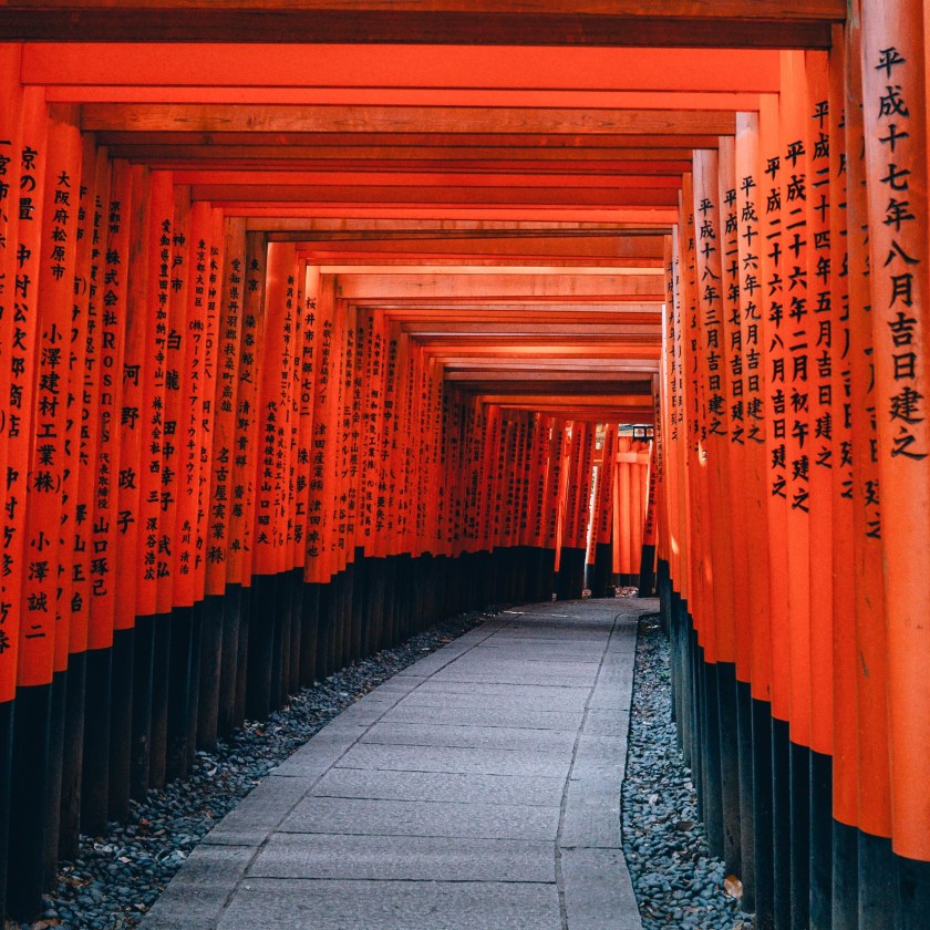 Photo by Lin Mei on Unsplash